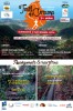 Affiche de Trail du curcuma 2014