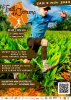 Affiche de Le trail du curcuma