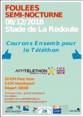 Affiche de Les foulées semi-nocturnes de Saint Denis