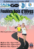 Affiche de La Marche de Bois d'Olives