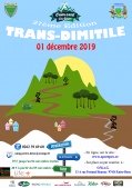 Affiche de TransDimitile