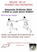 Affiche de Relais de la Plaine des Palmistes