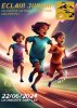 Affiche de Les grands'éclairs année 2011-2012 U14 FILLE