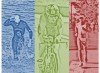 Affiche de Triathlon Longue Distance