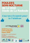 Affiche de Les foulées semi-nocturnes de Saint Denis