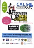 Affiche de Les foulées de Bois d'Olives