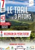 Affiche de Relais Trail Trois Pitons 