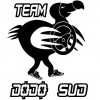 Organisateur : Team Dodo Sud