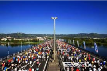 Marathon de Vienne