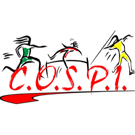 Logo COSPI - Club OmniSport de la Petite Ile