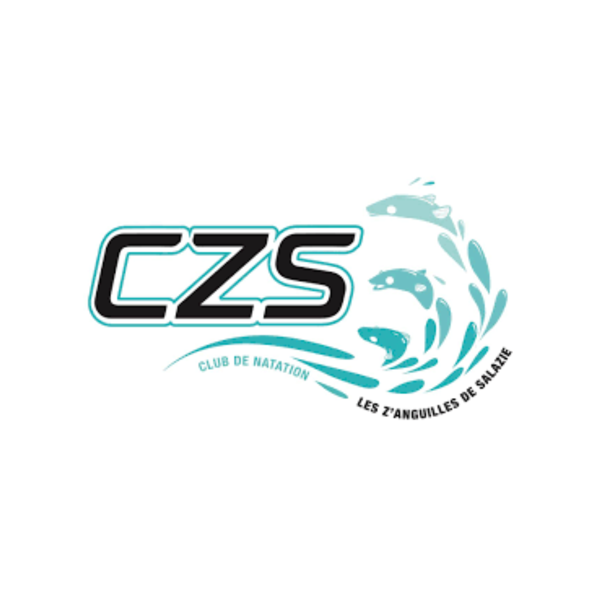 Logo CZS - Club de Natation les Z'anguilles de Salazie