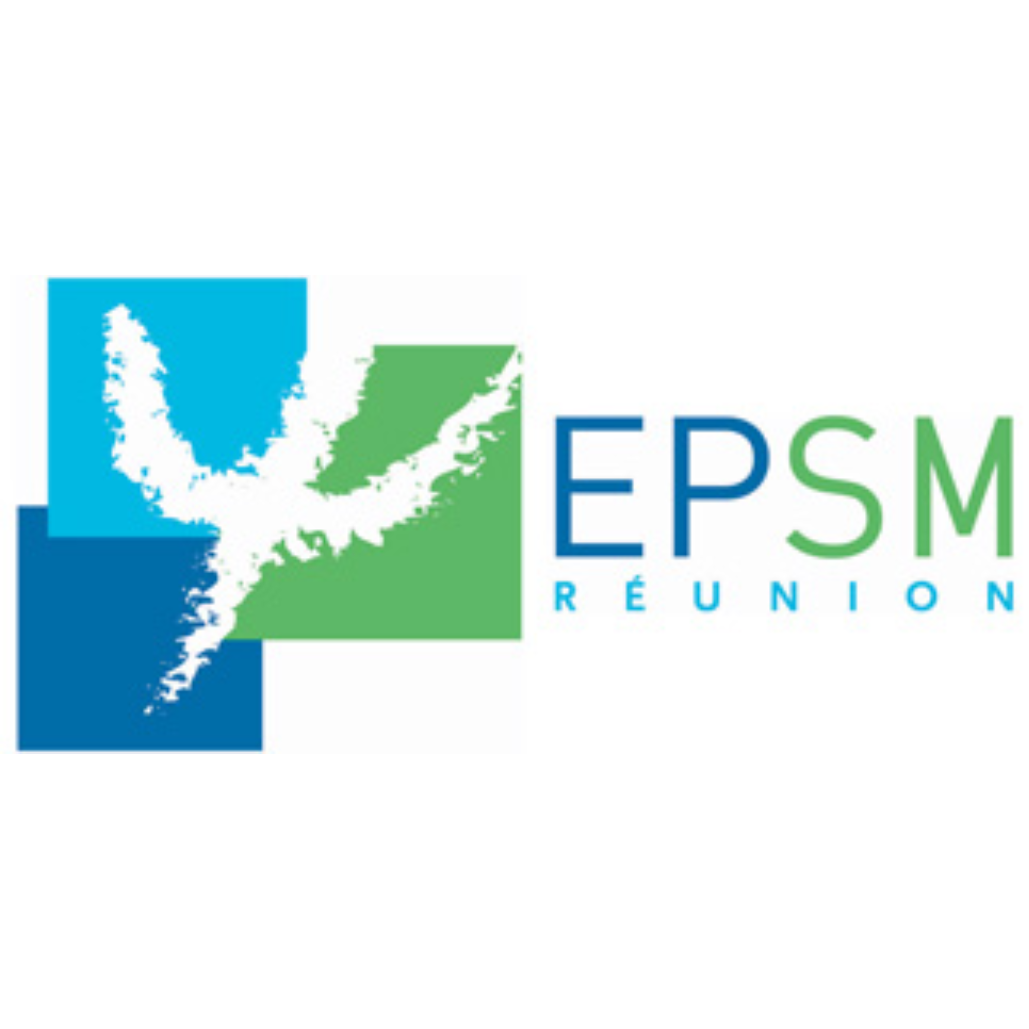 Logo EPSMR - Établissement public de santé mentale de La Réunion
